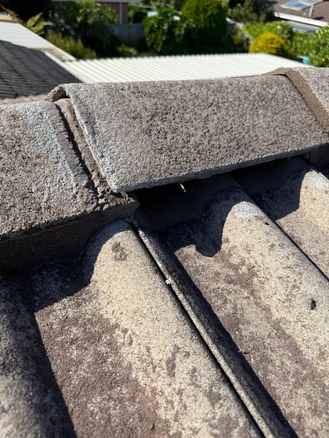 Close-up of roof shingles with a lifted corner and sealing tape, showing wear on residential roofing material